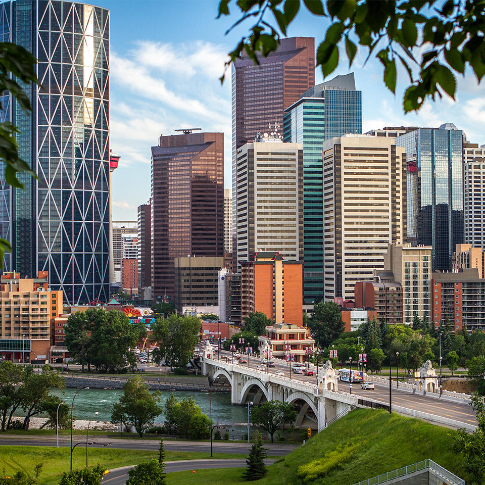 Calgary Security Systems & Services.