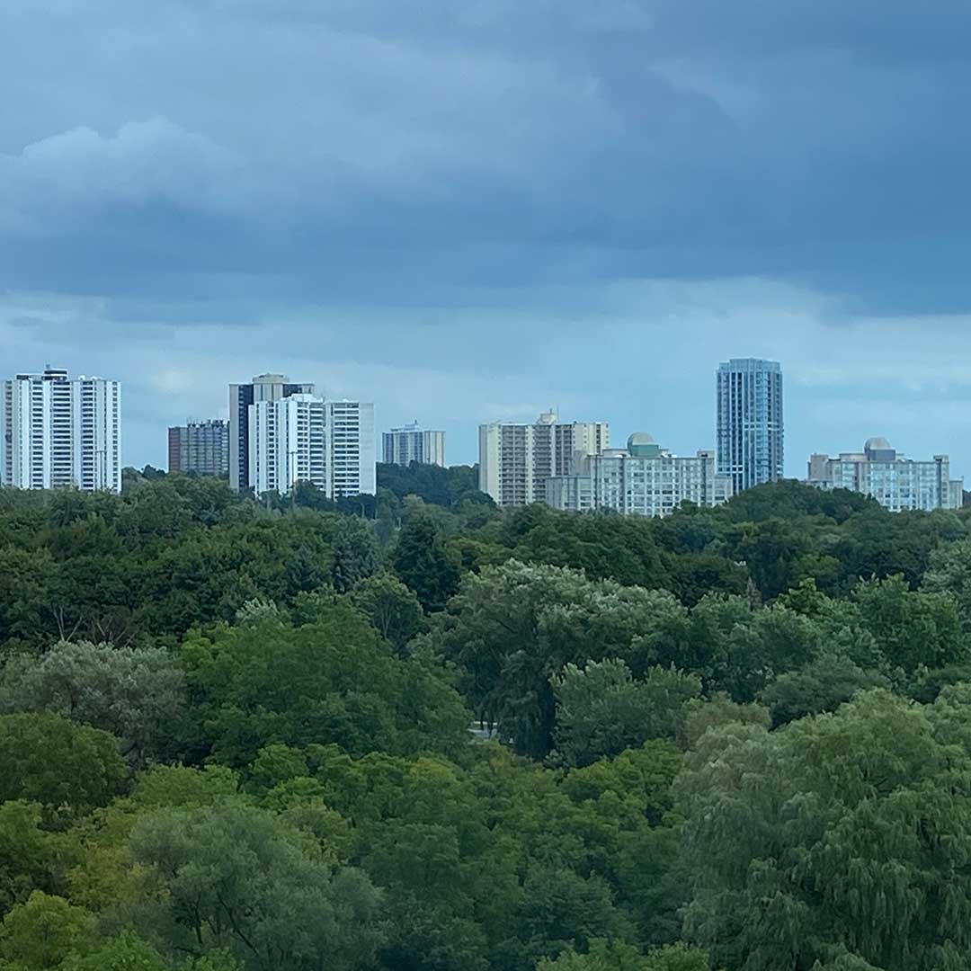 North York Security Services & Solutions